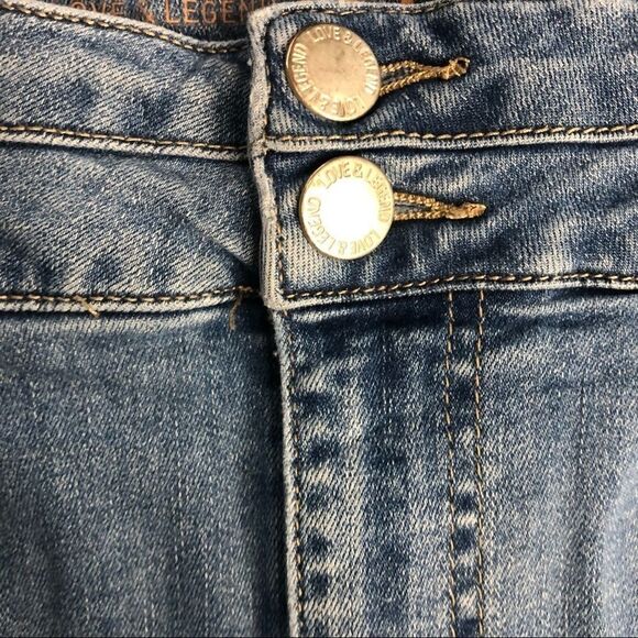 Addition Elle Love & Legend Embroidered Denim Jean shorts Size 12 - Picture 3 of 7